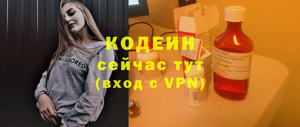 меф Снежинск