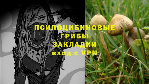 дмт Слюдянка
